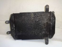 Radiator Suzuki Burgman 400