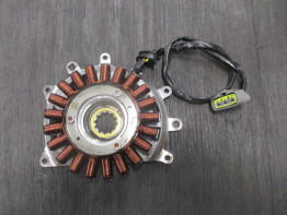 Dynamo BMW R 1250 R