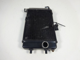 Radiateur Aprilia Falco