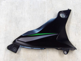Linker zijkuip klein Kawasaki Z 800