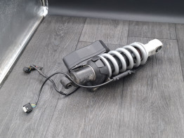 Stossdampfer hinten BMW R 1200 R