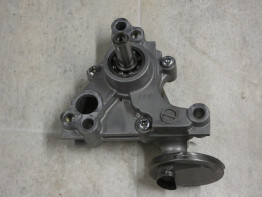 Oliepomp Suzuki DL 650 V Strom XTA