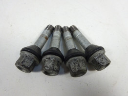 Achtervelg BMW R 1100 850 R