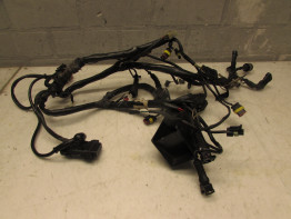 Wire Harness Ducati monster 900