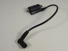 Bobine Ducati monster 600