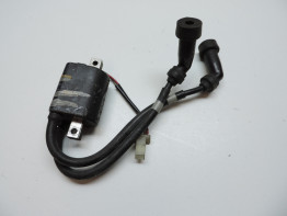 Bobine Yamaha FJ 1100