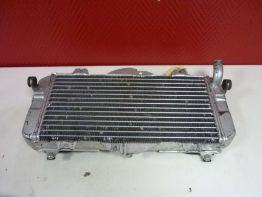 Radiator Yamaha FZR 600