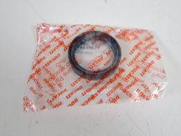 Voorpoot binnen Ducati 848 Streetfighter