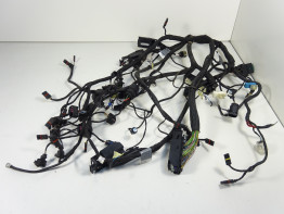 Wire Harness BMW K 1200 R 