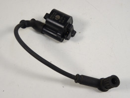 Bobine Ducati monster 1100