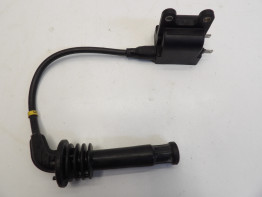 Bobine Triumph Thunderbird 900