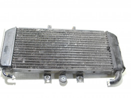 Kuhler Yamaha FAZER 600