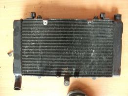 Kuhler Honda CBR 1000 F