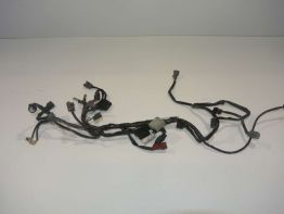 Wire Harness Honda CB 1000 R