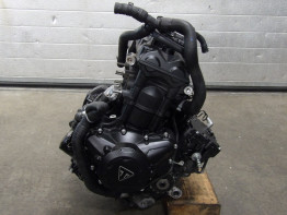 Motorblok Triumph Tiger 900 Rally Pro