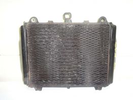 Kuhler Kawasaki GPX 600