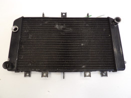 Radiator Kawasaki Z 750
