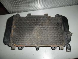 Kuhler Kawasaki ZZR 600