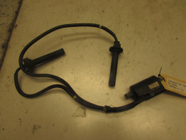 Bobine Yamaha FJR 1300