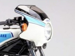 Kuipruit Yamaha RD 500 LC