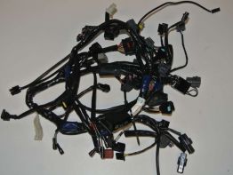 Wire Harness Triumph Tiger 1050