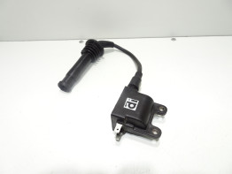Ignition Coil Triumph Tiger 900