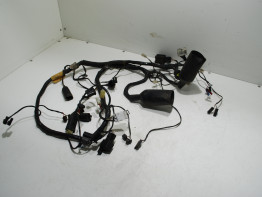 Wire Harness Triumph 900 Daytona