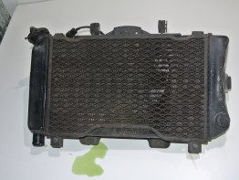 Radiator Yamaha TDM