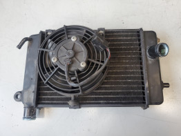 Kuhler Aprilia RSV 1000