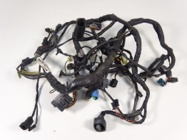 Wire Harness Kawasaki ER 6