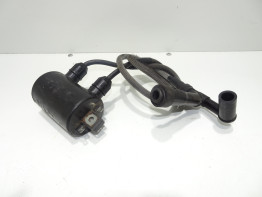 Bobine Kawasaki VN 1500