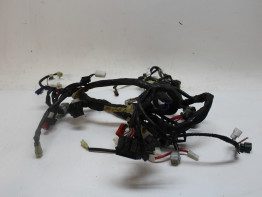 Wire Harness Yamaha FJR 1300