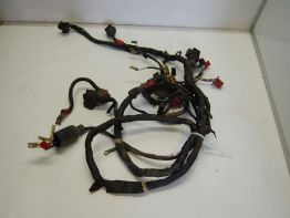 Wire Harness Honda CBR 1000 F