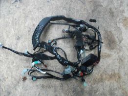 Wire Harness Honda CBR 600 RR
