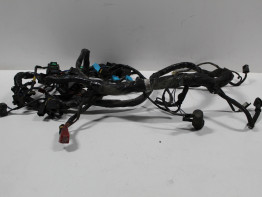 Kabelboom Triumph Tiger 955i