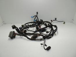 Kabelboom Triumph Tiger 900