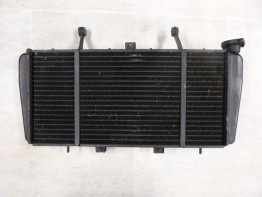 Radiateur Triumph Sprint ST 955