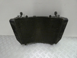 Radiateur MV Agusta 750 Brutale