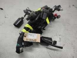 Kabelboom Kawasaki Z 800