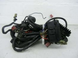 Wire Harness Honda CBR 1000 F