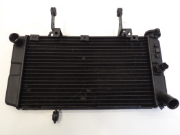 Radiator Suzuki DL 1000 V STROM