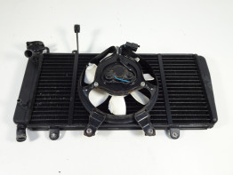 Radiateur Triumph Sprint ST 1050