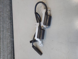 Bobine Aprilia RSV 1000