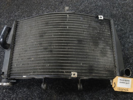 Kuhler Honda CBR 600 RR