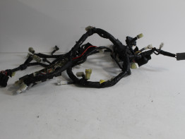 Wire Harness Yamaha FZ6