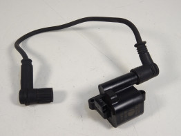 Bobine Ducati monster 1100