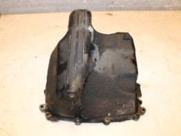 Carterpan Triumph Street Triple 675