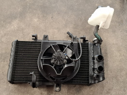Radiator BMW F 700 GS