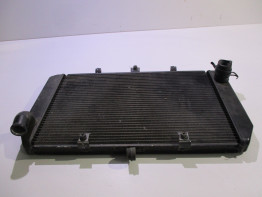 Radiateur Kawasaki Z 800