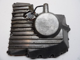 Carterpan Yamaha FZR 600